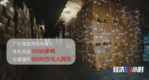 海關重拳出擊 查獲走私凍品4.9萬噸，部分竟源自非洲豬瘟高發疫區，國內貿易代理敲響安全警鐘